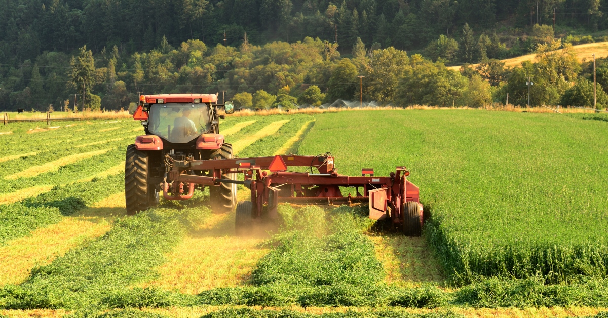 Alfalfa Harvest