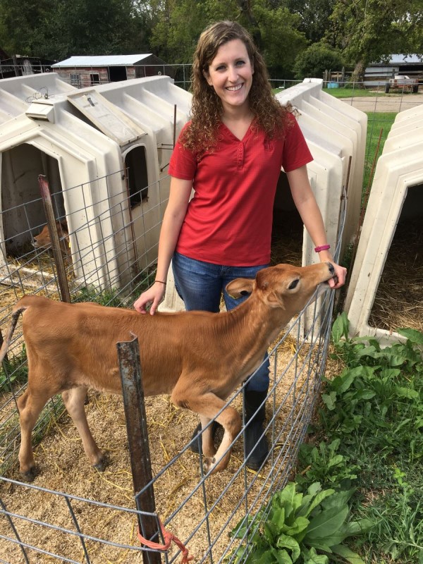 Angie with a calf,