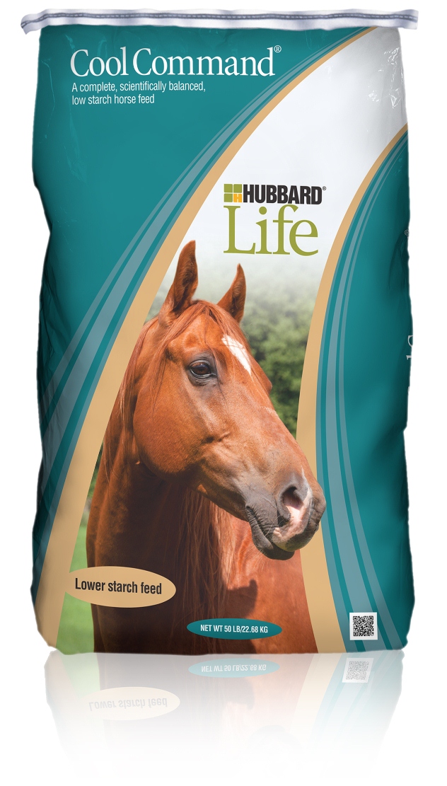 Cool Command Horse Feed bag