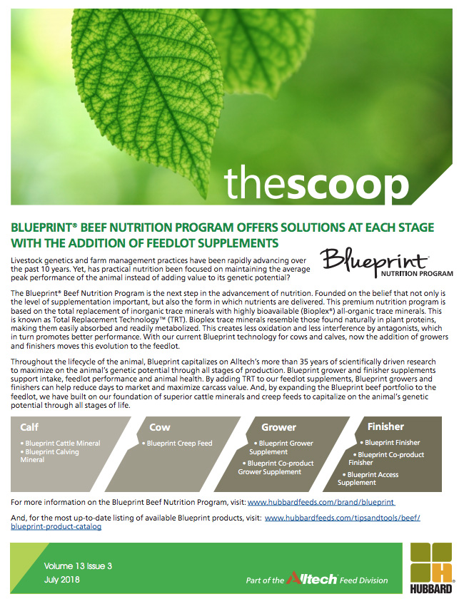 Newsletter Hubbard Feeds