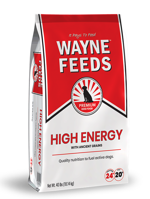 Product bag image of Wayne Feeds High Energy for dogs