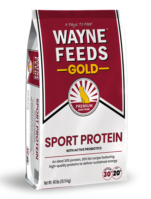 Product bag image of Wayne Feeds Sport Protein for dogs