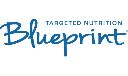 Blueprint logo