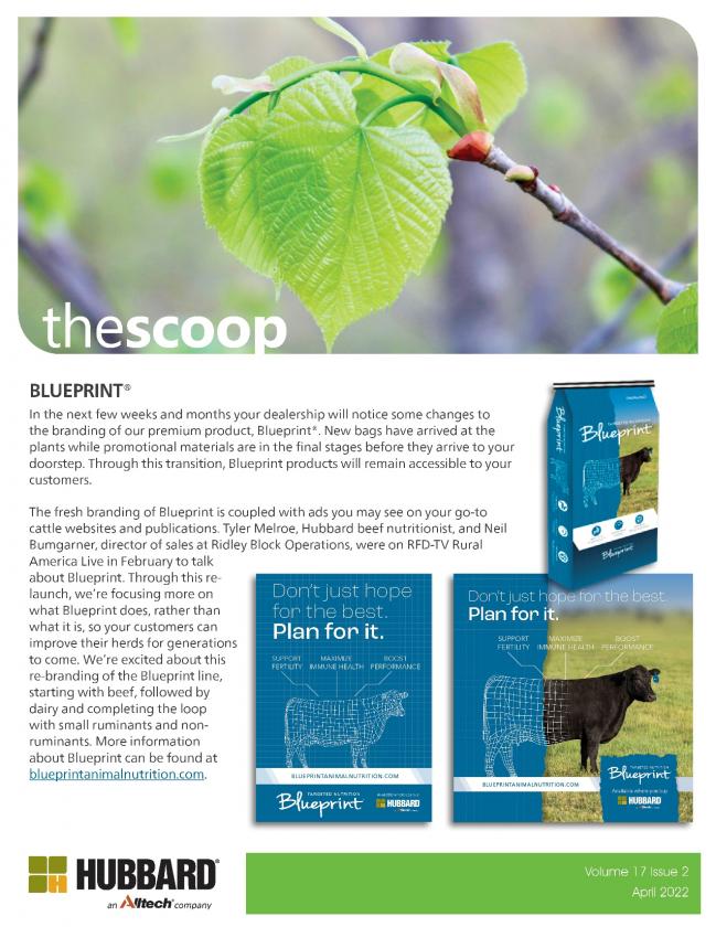 The Scoop - Vol. 17, Issue 2, April 2022