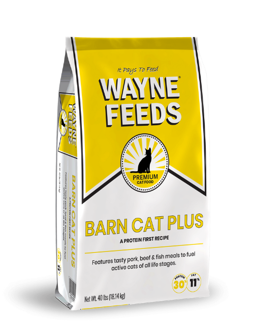 A picture of a bag of the Wayne Feeds Barn Cat Plus cat food