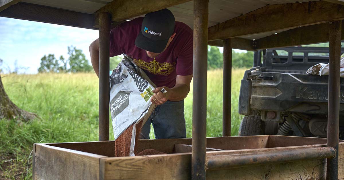 Hubbard mineral program