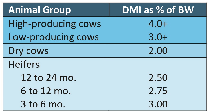 Holstein dry matter intake
