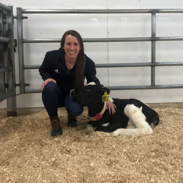 Ellan with a cow. 