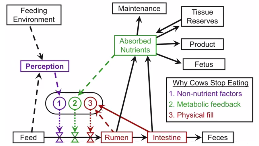 Schematic of factors affecting feed intake