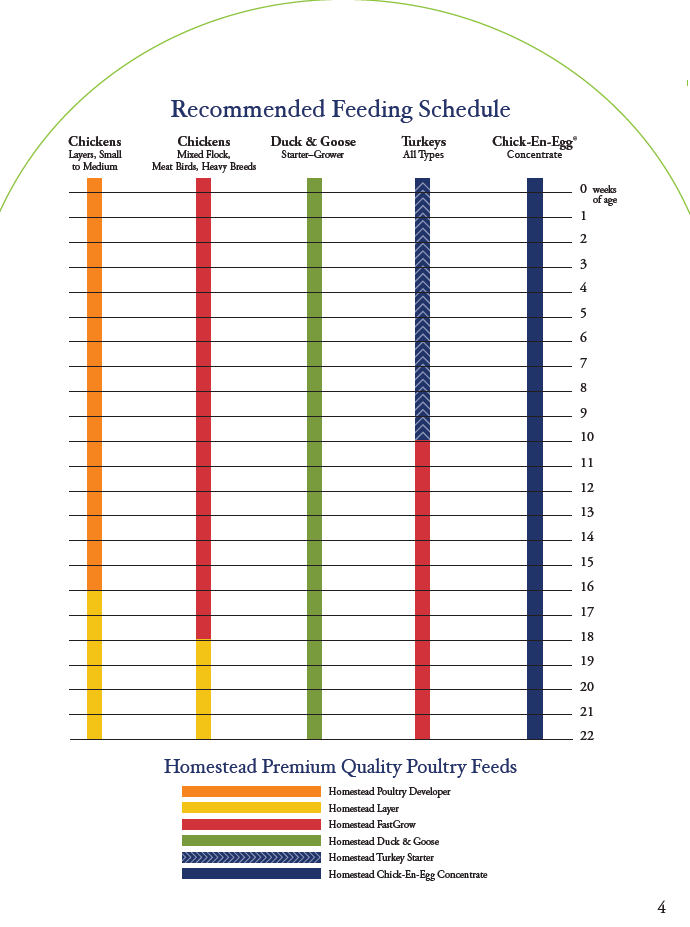 Turkey Feeding Chart