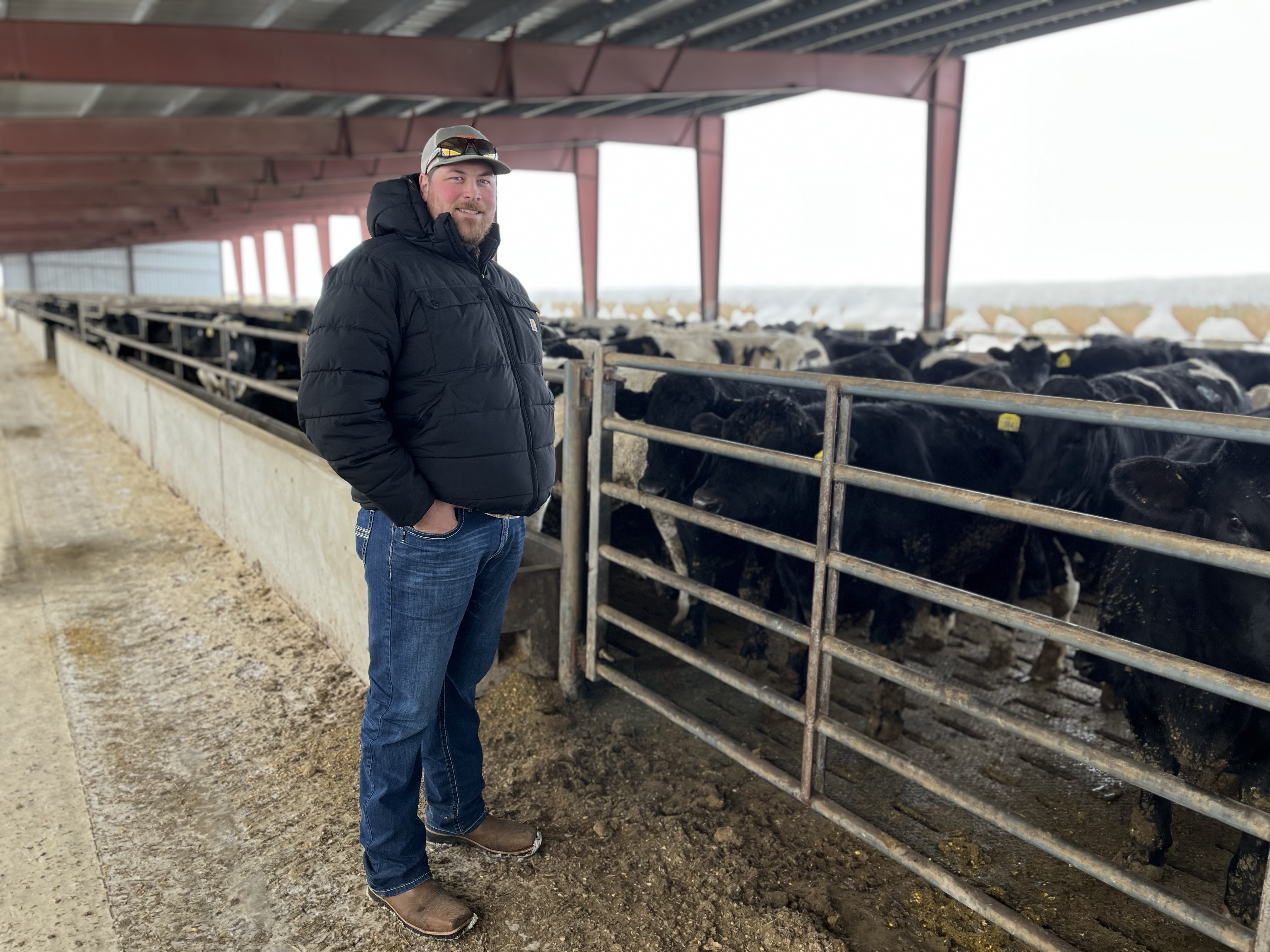 James Gaspers with cows