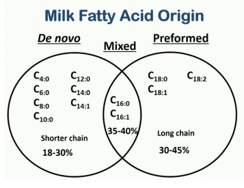 Milk Fatty Acid Origin Only