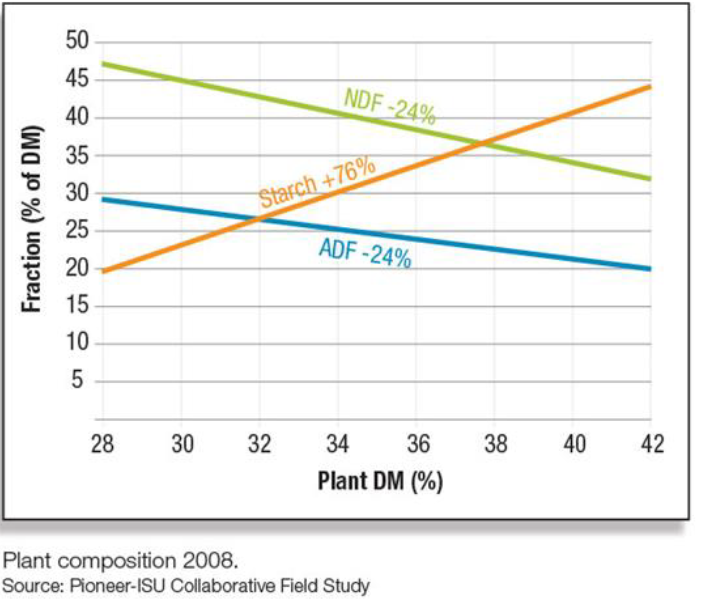 Plant Composition