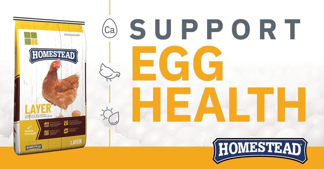 Support Egg Health