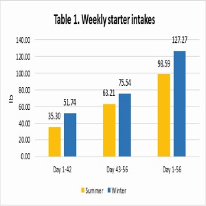 Table on Hip Height