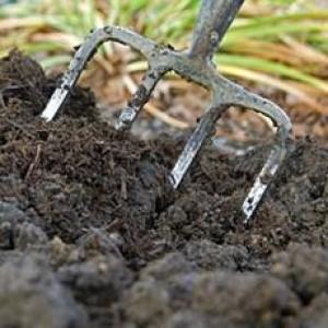 Expect more from your manure