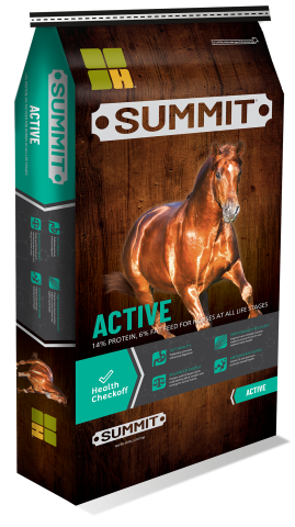 Summit Active