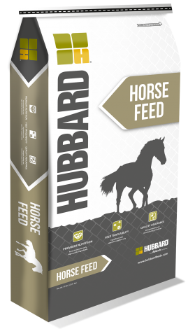Hubbard Horse