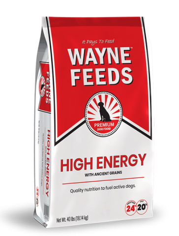 Product bag image of Wayne Feeds High Energy for dogs