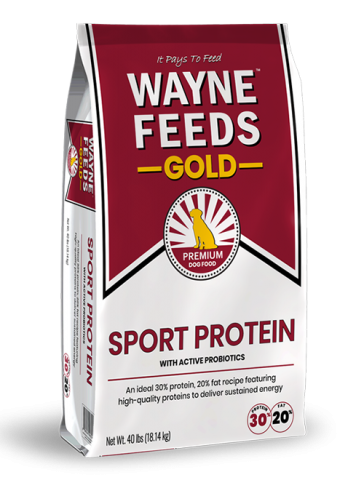 Product bag image of Wayne Feeds Sport Protein for dogs