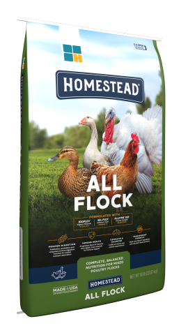 Homestead All Flock