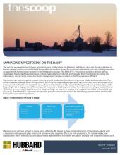 The Scoop - January 2019