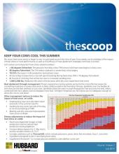 The Scoop - July 2019