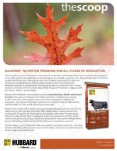 The Scoop - Vol. 15, Issue 4, October 2020