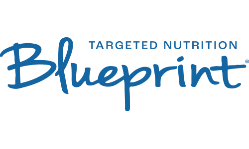 Blueprint