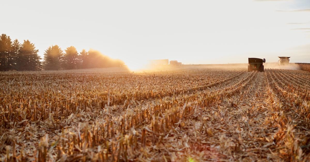 Harvest