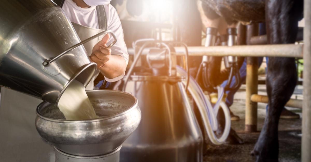 Pouring Milk