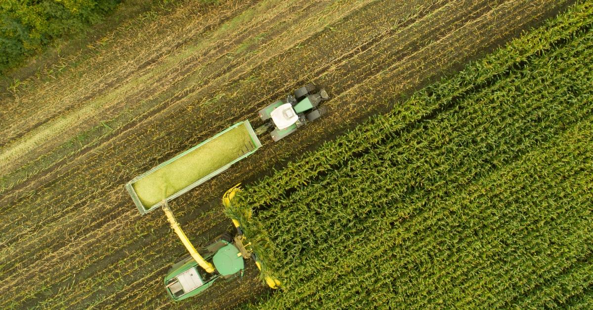 Cutting Silage